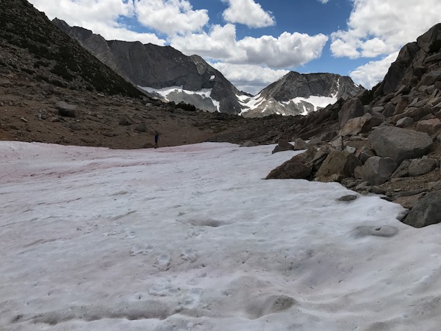 Snowfield on Cataract creek pass: August 2017 (Dumbbell Pass in distance)