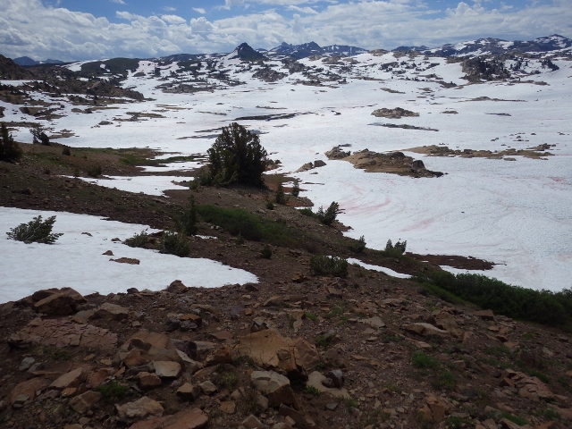 Emigrant Meadow Basin