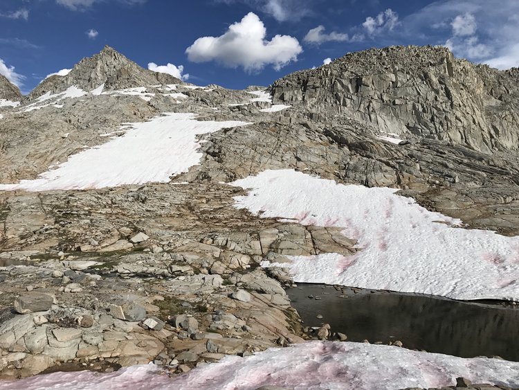 View up toward Cirque Pass from Glacier Creek