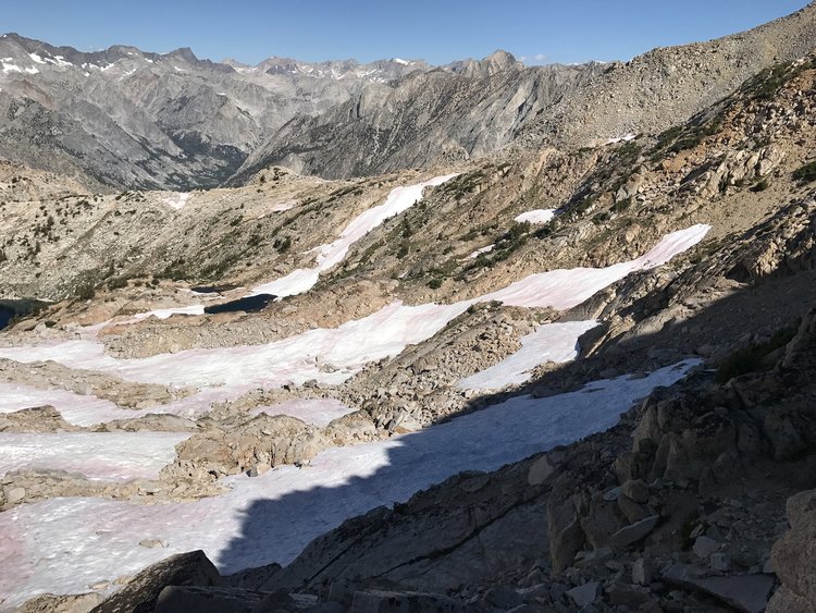 View toward Le Conte Canyon and the Black Divide (on the left)