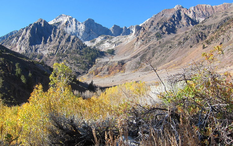 Looking up the canyon, midway