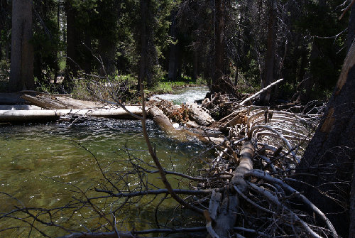 Log crossing on Cherry Creek