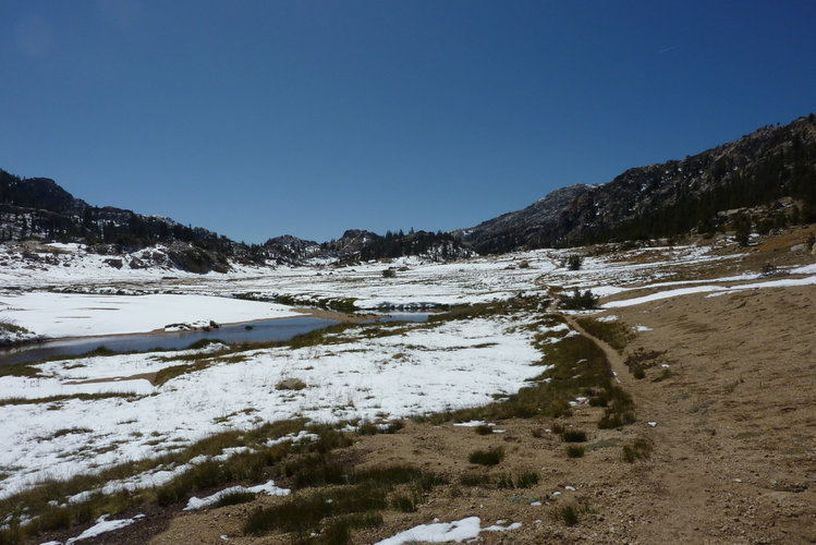 Kerrick Meadow looking South