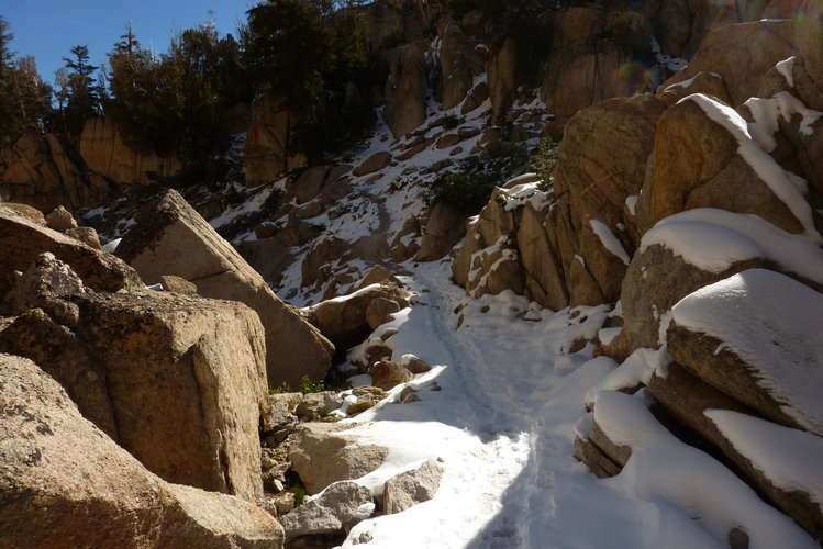trail leaving Peeler 5 days after snowfall!