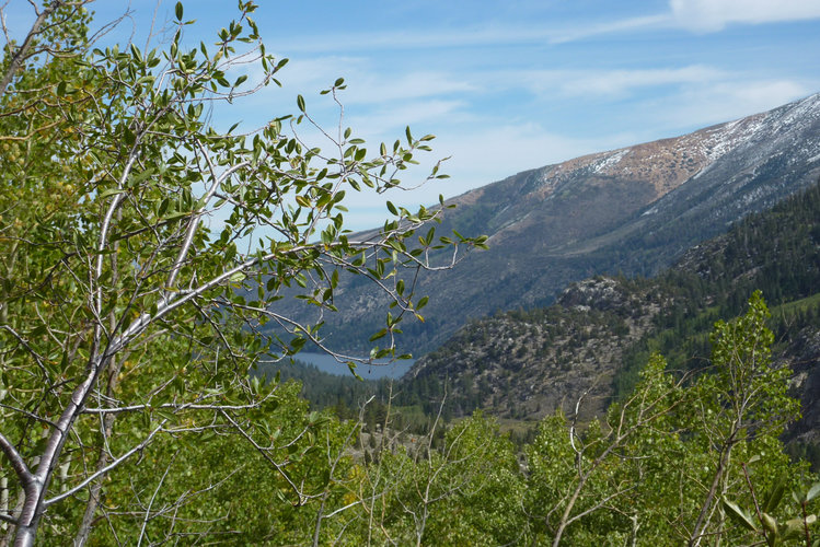 Twin Lakes--the end in sight! 11/2 hours away.