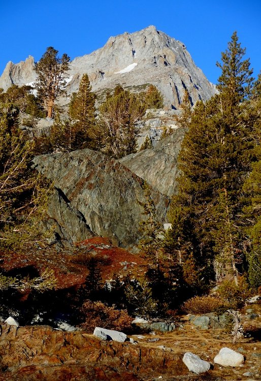 fall colors under north peak.JPG