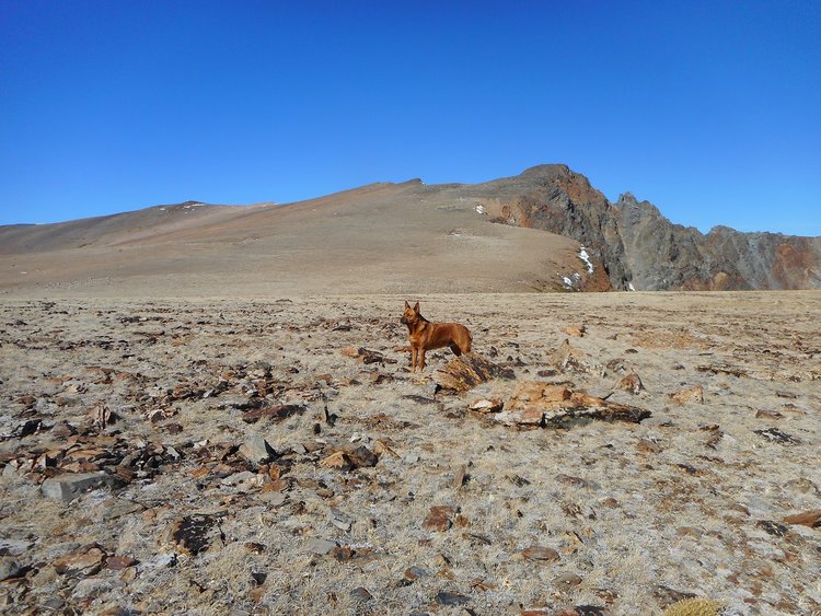 20 lakes basin 124.JPG