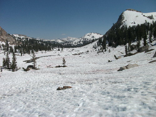 Picture 015.jpg