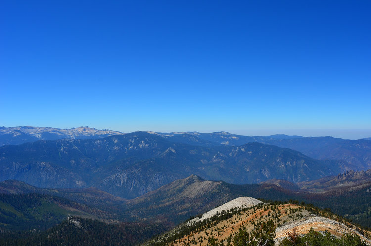 A part of the large burn zone for the Rough Fire that raged through here  the previous summer.