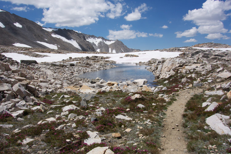 Taboose Pass is an alpine wonderland