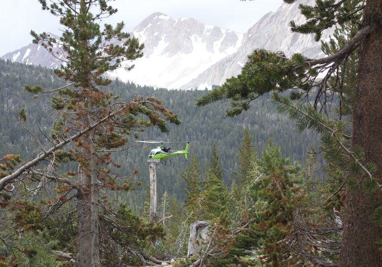 SAR helicopter landing on the South Fork Kings River
