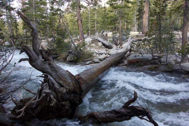 The notorious log crossing South Fork Kings River