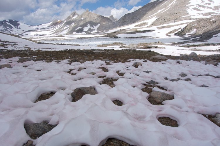 Sun cups in Upper Basin