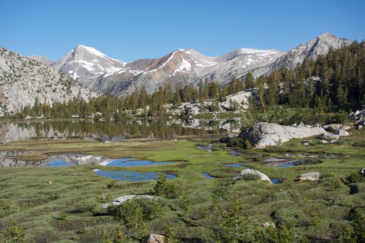The meadows north of Arrow Pass are delightful.
