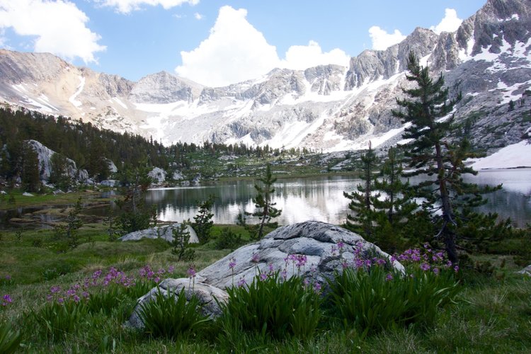 The meadows below Arrow Pass are beautiful, but they were crazy with mosquitos during my visit.