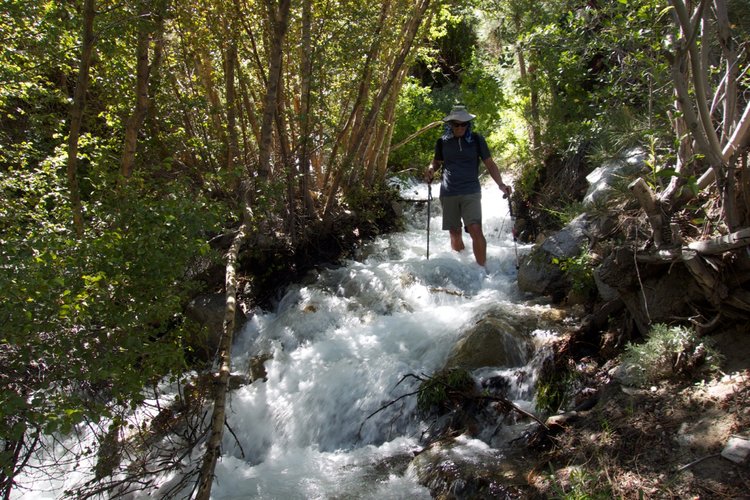 Hobbes on the Taboose Pass trail. Note, this is not the creek crossing, just a random part of trail that was flooded.