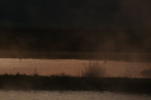 Mist over Crystal Crane Pool
