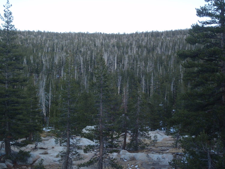 Rafferty Creek looking East