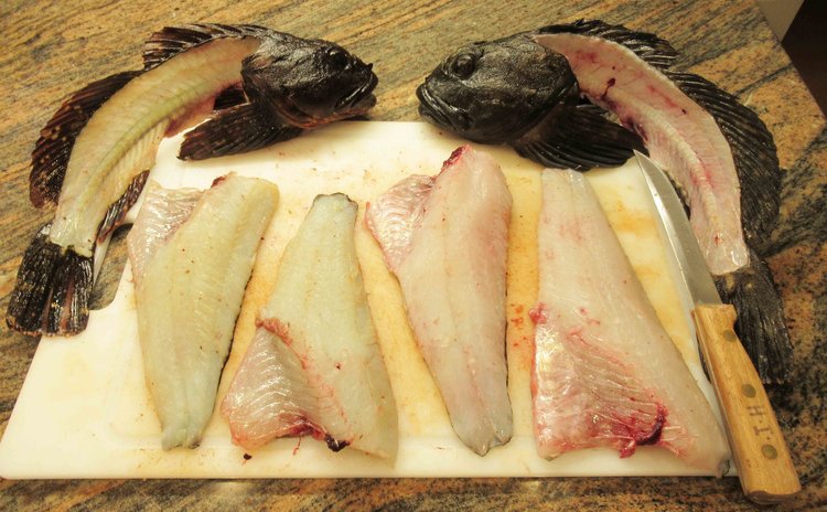 Lee nicely fillets the two cabbies.  These were then breaded and oven cooked and were quite yummy.  The adults accompanied these with a nice Pinot.