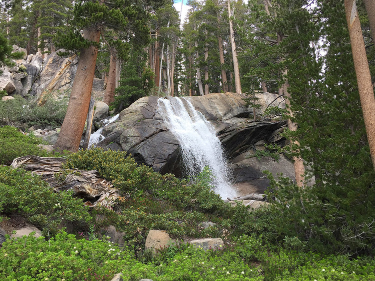 trailname-backstroke-cameron-mcnall-_0098.jpg
