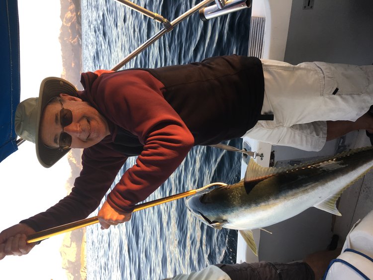 My yellowtail