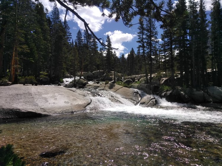 Evolution Creek