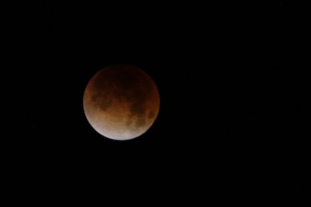 DSC01694_019.jpg