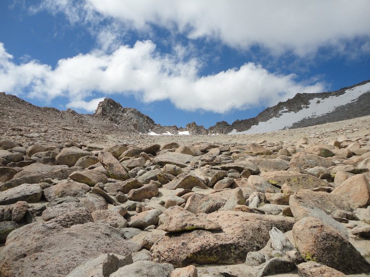 Lamarck Col