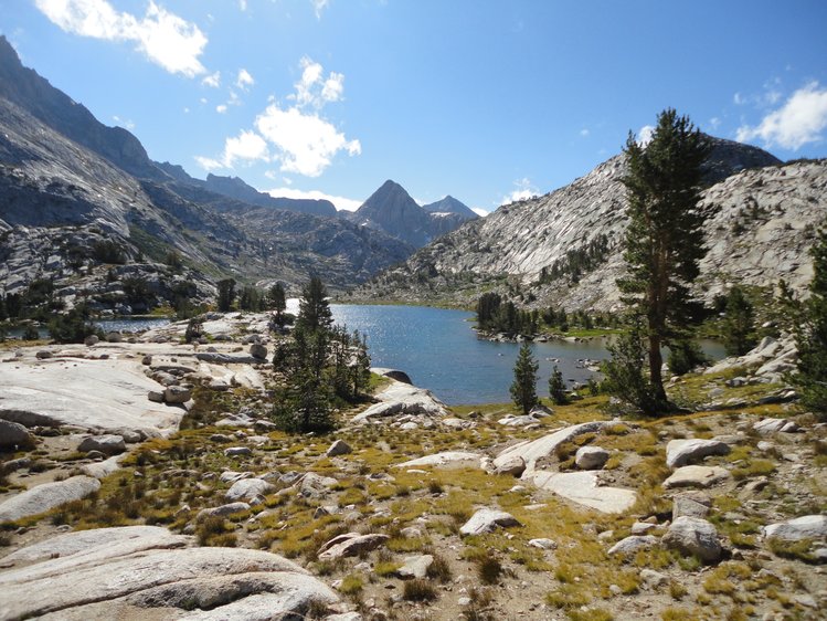 Evolution Basin