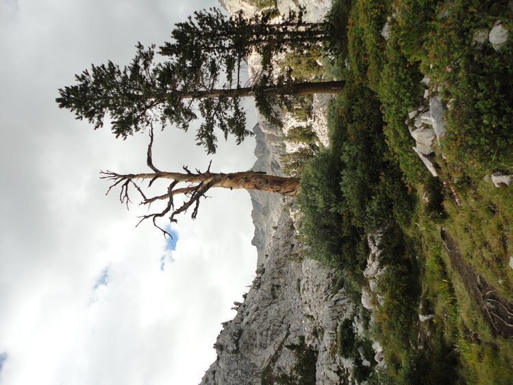 LeConte Canyon