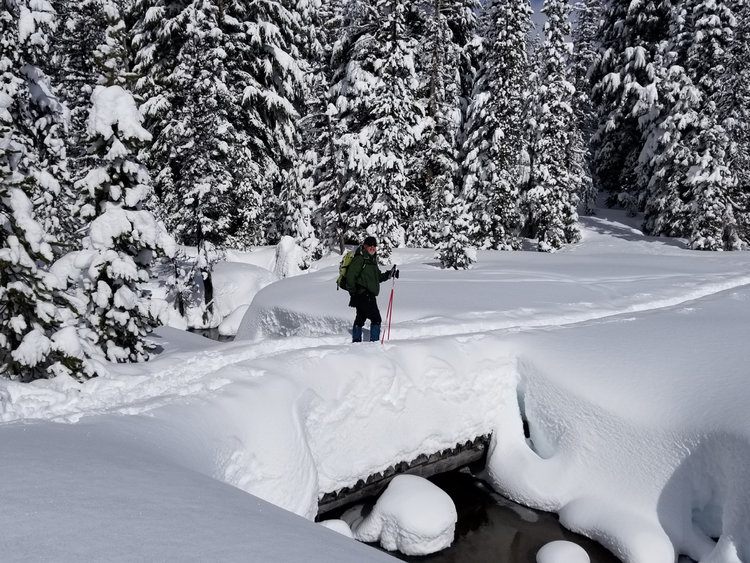 bridge over small creek between Mt. Bachelor and Broken Top
