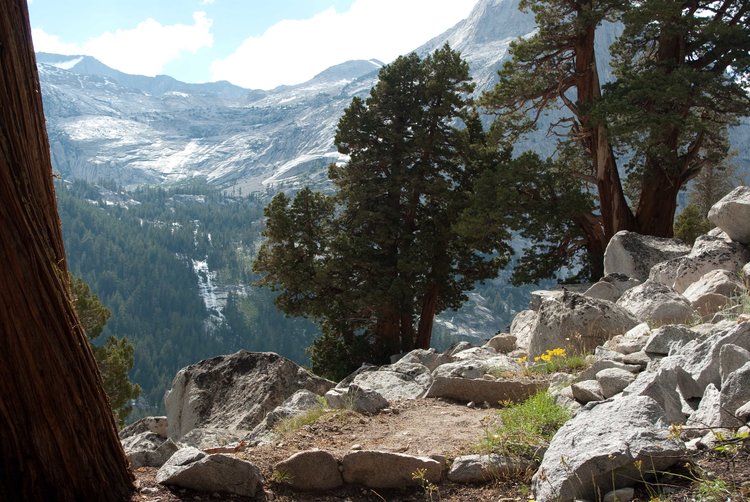 LeConte canyon from the grade up to Dusy