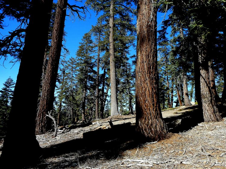 DSCN1058.jpg