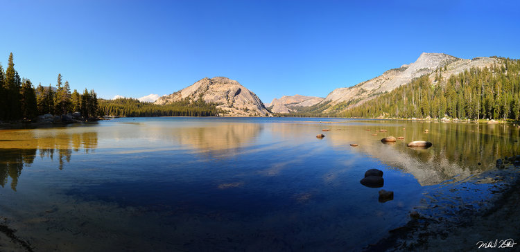 The lighting was gorgeous when we went by Tenaya Lake.