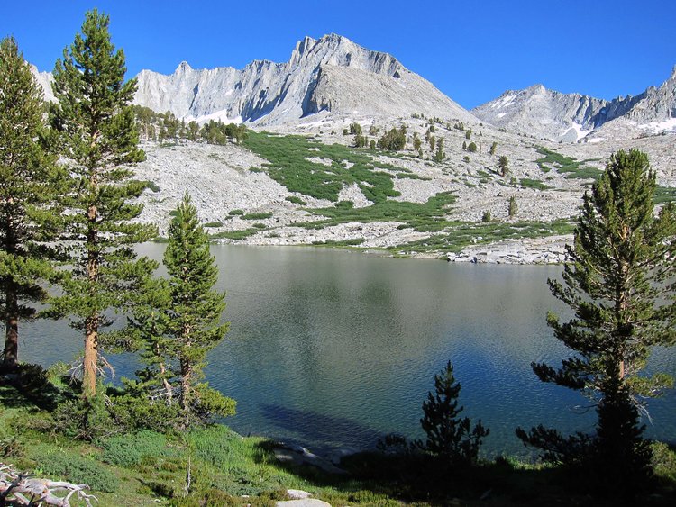 Timbered area at the lower lake