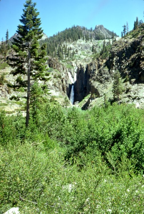Cottonwoods choke the area alongside the creek. Triple Falls in distance. 1975.