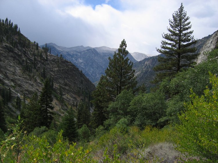 Bushwhack city; traverse high and find the trail or choose a path of least resistance -- stay away from the creek itself.