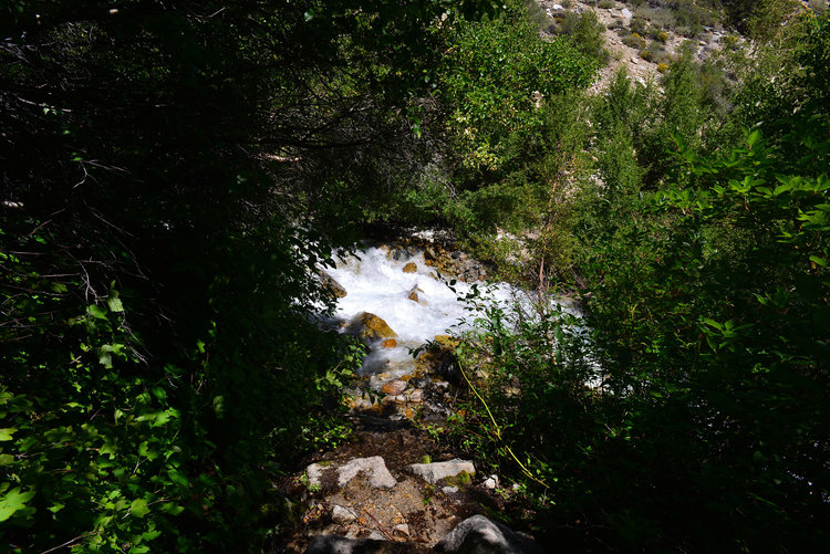 That's the swift Taboose Creek that we crossed. We crossed a little below the whitest water and while it was swift the footing was good and it was not excessively deep.
