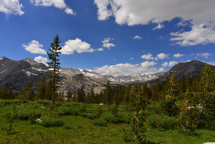Looking straight back the gap is Mather Pass on the JMT. Behind it the mighty Palisades stand guard.