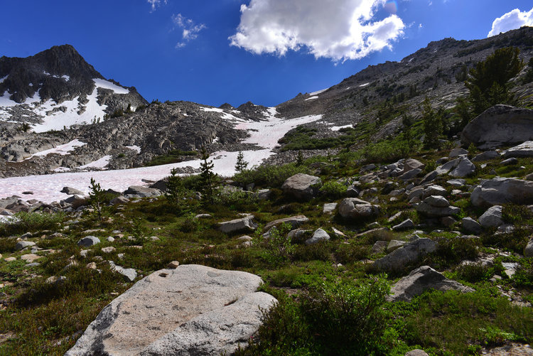 Staring up at Arrow Pass. Rock was pretty stable but the mosquitoes were vicious on a pass none the less!