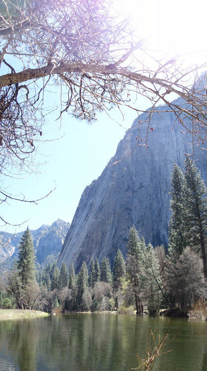 On our exit drive, we stopped in El Capitan meadow and I went swimming below Cathedral Rocks. It was cold (!!!), but it felt great to rinse off the sunscreen and dirt.