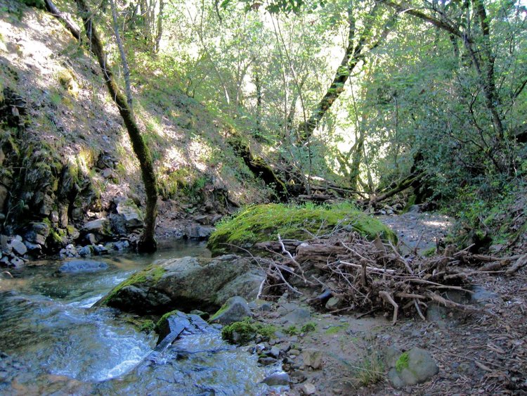 Madrine Soda Springs Tral