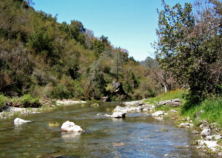 The stream through The Narrows