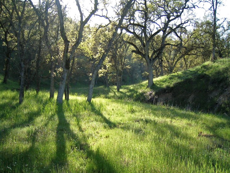 Lower Hartman Trail