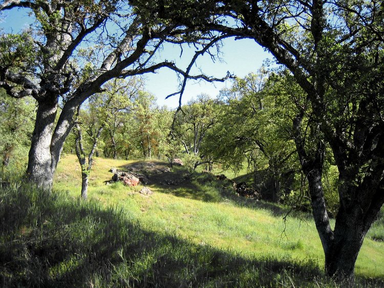 Rooster Comb Trail