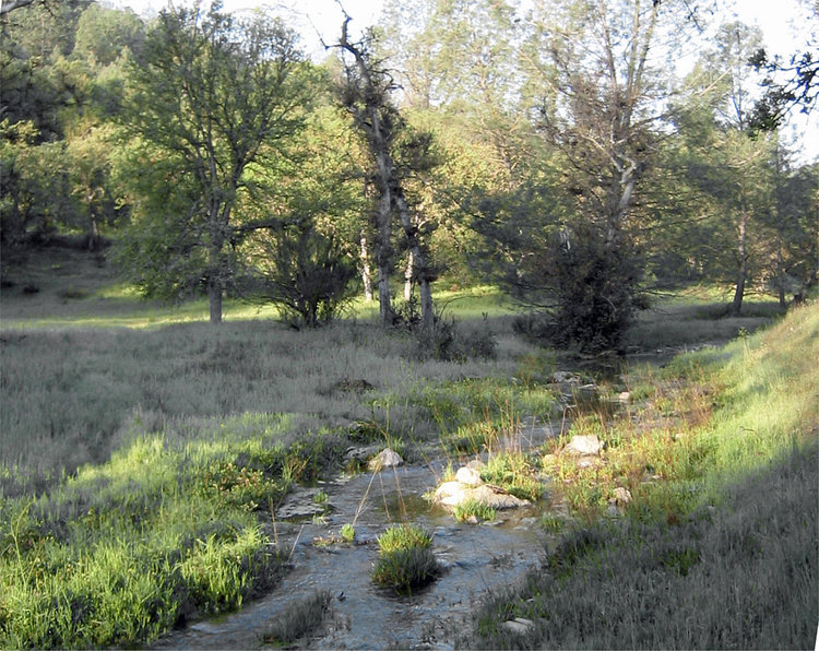 Robinson Creek