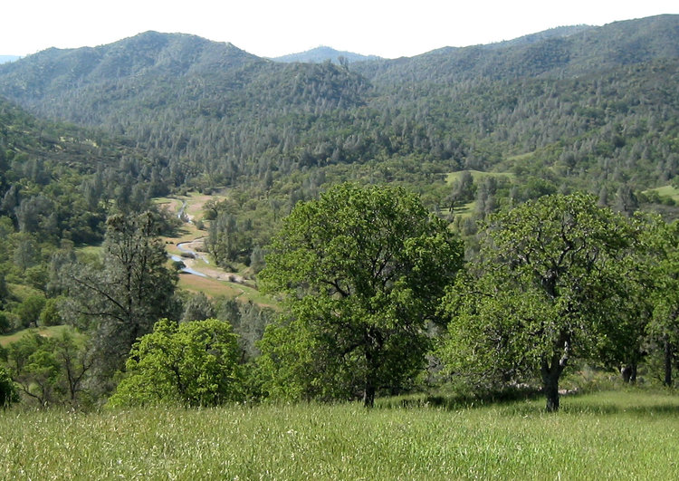 Red Creek