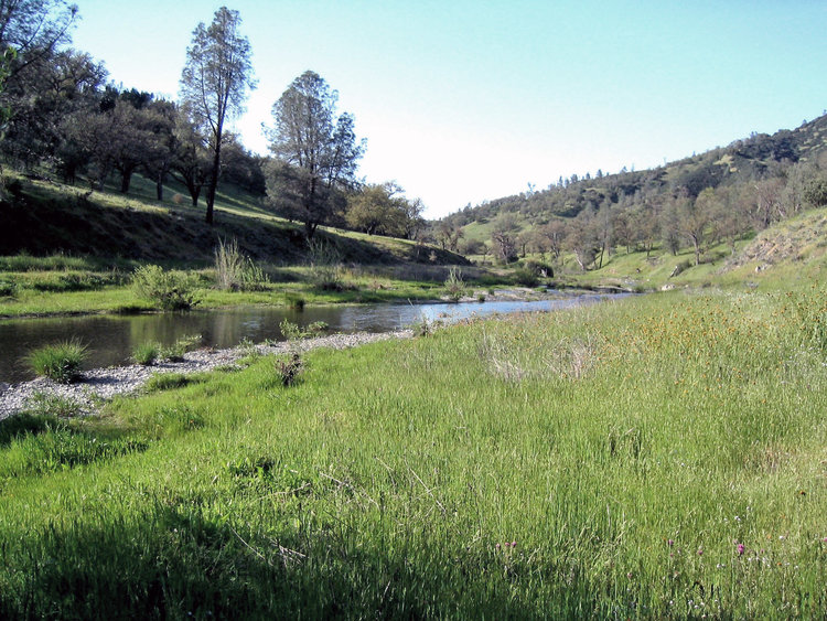Coyote Creek near Blue Ridge Road