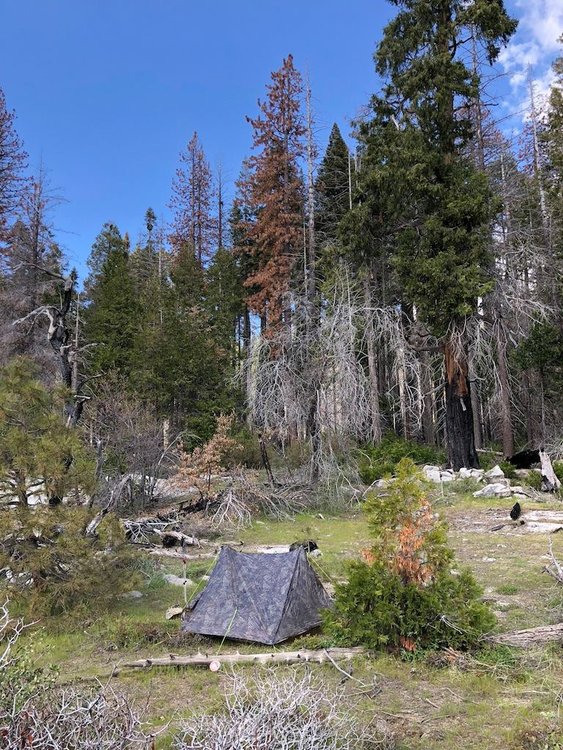 Fairy tale camp