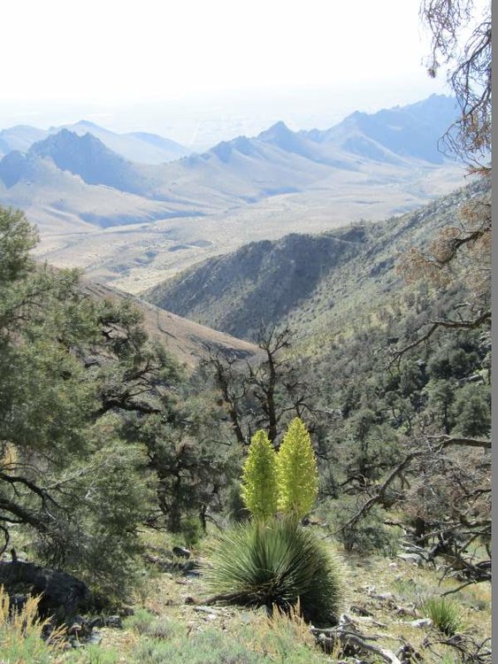 Looking east towards the Indian Wells Valley